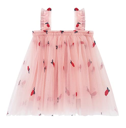 Symunnia Little Baby Girl Layered Tulle Lace Tutu Dress Kids Sleeveless Tank Princess Birthday Dresses Formal Party Gowns(6-12months,Pink-Pineapple)