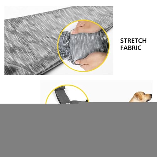 Combinaison de convalescence pour chien imperméable anti-léchage réglable - 7