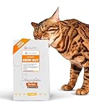 Lucky-Kitty Premium Katzensnacks I 4x4 Filet Sticks I Leckerli für Katzen, 100% Filet im Fleischanteil I Saftig & nährstoffreich; ohne Getreide, Zucker I Artgerechte Katzensticks (16 x 22g, Huhn)