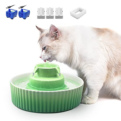 Cepheus 360 Ceramic Pet Fountain, Advanced Porcelain Cat Water Fountain, 70 oz.Drinking Fountains Bowl for Cat and Dogs with Replacement Filters and Foam (Green)