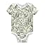 Money Hundred Dollar Bill 01