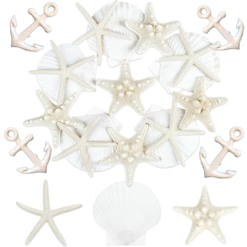 20 Stück Seestern und Muscheln Deko, Muscheln zum Bemalen und Auffädeln für Maritime Themen, Stranddeko für DIY Handwerk, Aquarium, Basteln,...