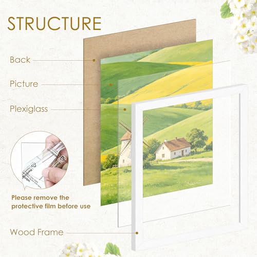 Image of 8x10 Picture Frame Set of 2, Solid Wood Frames, White Woodgrain