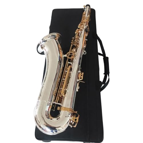 テナーサックス シルバー プロフェッショナル」の人気商品一覧 | 安い