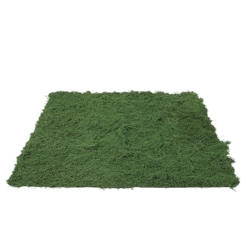 DRESSOOS Alfombra de Musgo Artificial para Exteriores: de Mesa de Musgo Artificial para Manualidades - Rollo de Alfombra de césped de 100 x 100 cm para decoración de mesas en Jardines, Bodas y