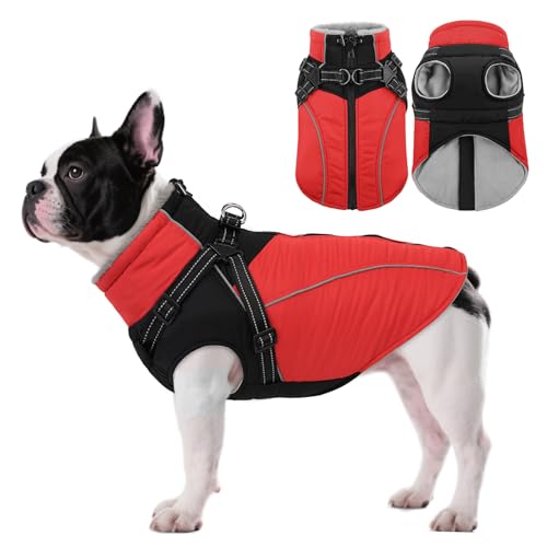 ASENKUˌpR[gn[lXtAht[XnhbOWPbgA^A^A^pA^[glbN&Wbp[t̒g~pxXg(bh M)