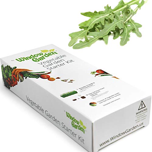 Buy Window Garden Buttercrunch Lettuce Vegetable Starter Kit Grow
