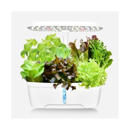 TAYTHIk͔|Lbg X^CbV RpNg k͔|Zbg   ƒ؉ n[u  LEDCg k͔| |bg  A ƒ؉ Lbg zVXe \ ~jg}g ͔|Lbg ƒ؉ Lbg 