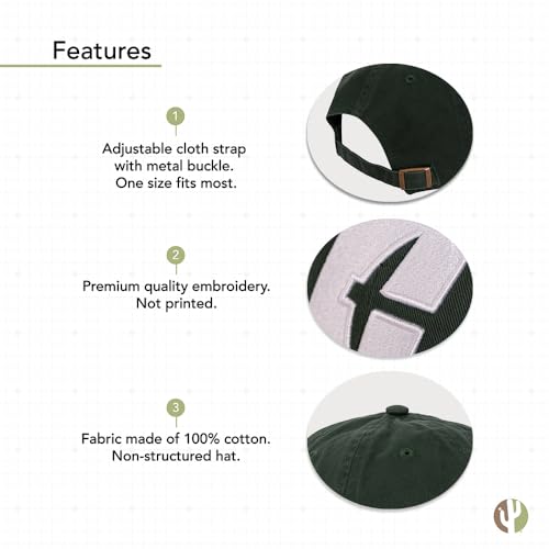 Gorra bordada University of North Carolina Charlotte miniatura 4