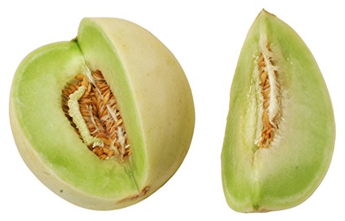 Honeydew Melon Seed - Can Grow honeydews in containers on Balconies or porches (30 Seeds)