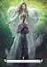 Angel Oracle (Rockpool Oracle)