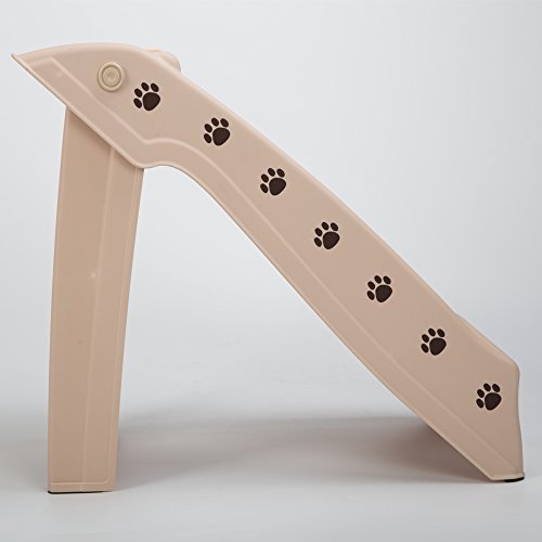 raygar dog ramp
