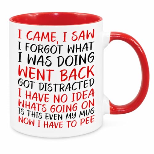 I Came I Saw I Forgot Mug - Funny Novelty Gift Silly Present Mugs for Women Birthday Christmas for Mum Dad Friend Sister for Men Colleague Secret Santa Work Quotes (Red)