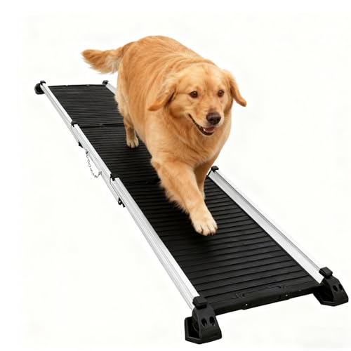 DhbdHsfs ybg X[v pX[v ybg Ki Kiʊ~ߐ݌vAt[A׏dΉ~߈rA܂肽݉\A Ki AEpybgX[v h ܂肽ݏȃXy[X