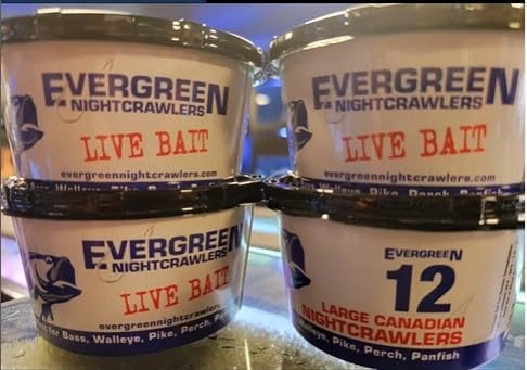 36 Cups (Case) of 12ct Canadian Nightcrawlers Worms (4-6 inch) - Fishing Bait or Pet Feed