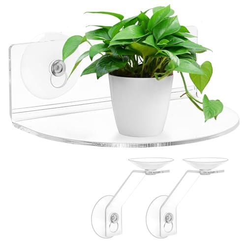 Skewo 2er-Pack Acryl-Fenster-Pflanzregale mit Saugnäpfen & Halterungen -...