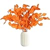 Oning 10 Pcs Fall Stems Eucalyptus Thanksgiving Decor 15 17 Real Silver Dollar Eucalyptus Stems Leaves Fall Decor Autumn Decorations for Fall Halloween Christmas Farmhouse Floral Arrangement