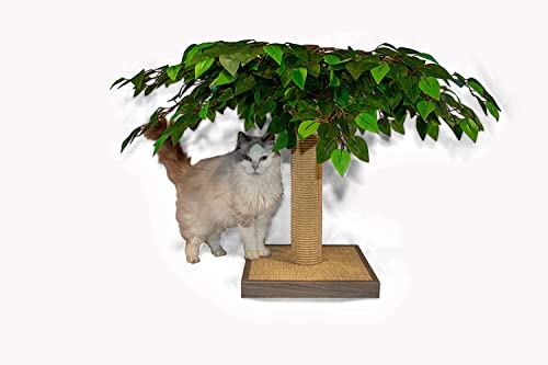 Rascador para Gatos Decorativo en Forma de Árbol Midlee miniatura 6