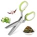 Forbici di erbe, taglienti di erbe da cucina a 5 lama