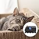 Lyreh Katzen Kratzkarton Schneider, 3D Gedruckt Kätzchen Geformt Manuelles Schneidewerkzeug mit Klinge Langlebig Kunststoff Katzen Kartonschneider Haustierzubehör für DIY Kratzspielzeug (Schwarz)