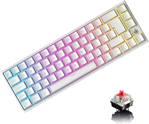 LexonElec 60%JjJQ[~OL[{[h RGB ChromaobNCgRpNg~jJjJL[{[h ԃXCb` 68L[tL[A`S[XgO PC Mac PS4Q[}[ ItBX^CsXgp (zCg)