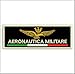 MAREL Patch Aeronautica Militare cm 9 x 3 Toppa Ricamo Replica -248 (Sfondo Nero)