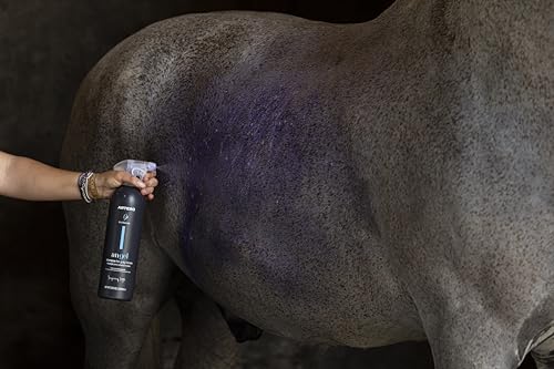 Artero Angel Whitening-Shampoo, 1 l, entfernt Flecken und hebt Weiß mit intensivem Glanz hervor.