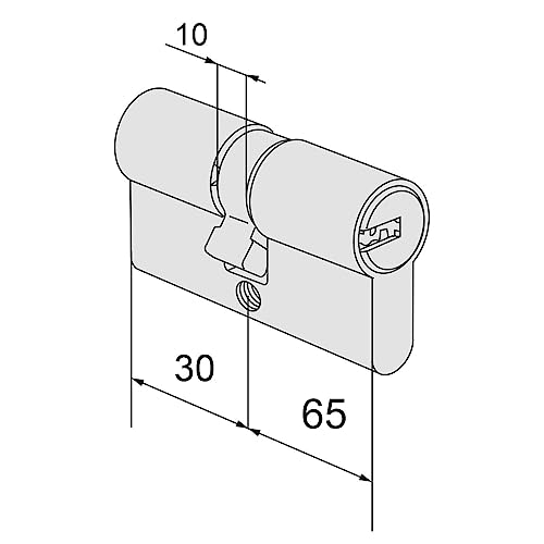 CISA 0A3S1 European Astral S Cylinder, Nickel-Plated Brass - Image 4