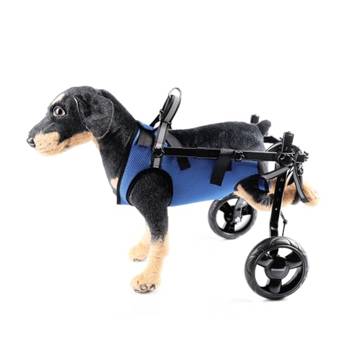Silla de ruedas para perros con problemas de movilidad trasera, carrito ajustable talla XS