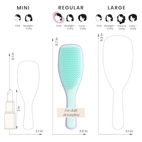 Image of Lyrovo Ultimate Hair Brush Comb for Women for Wet & Dry Hair Eliminates Knots & Reduces Breakage for All Hair Types (Mint & Purple)