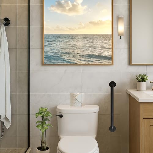 Barre d'appui de douche pour sécuriser la salle de bain Westbrass - 6