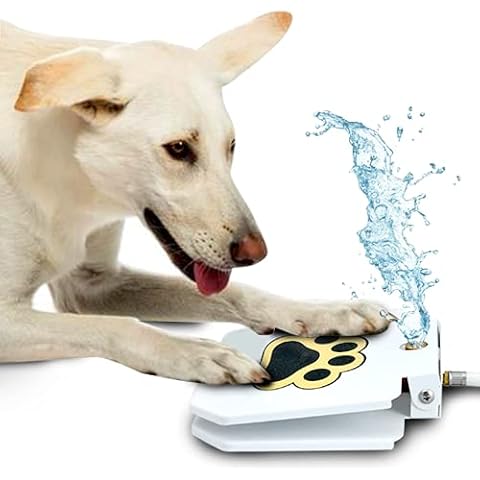 Fuente de agua potable Trio Gato Cover