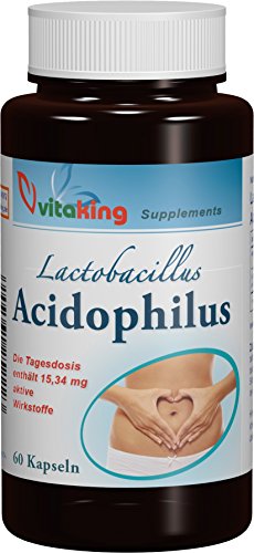 Preisvergleich Produktbild Lactobacillus Acidophilus