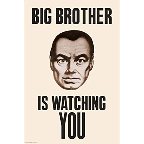 LAMINATED Big Brother is Watching You 1984 Poster - 24x36 Cover