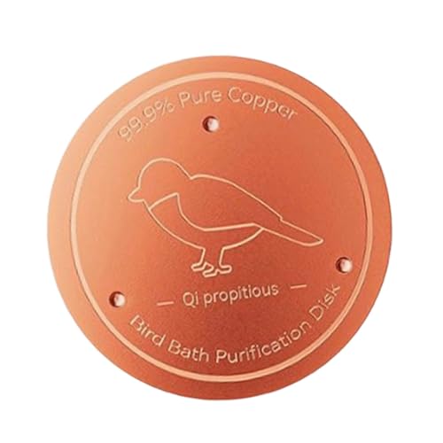 ޗ򉻃fBXN̂߂̎g₷N[i[c[