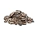 Spitz, Dill Pickle Sunflower Seeds - 16 oz