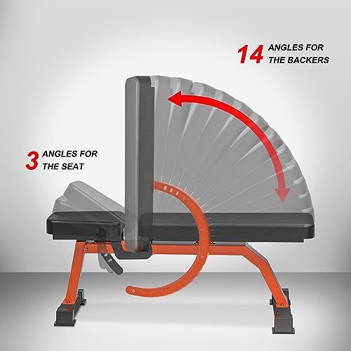 Image of Adjustable Bench,Incline Flat Decline Sit Up Weight Bench,Dumbbell Stool
