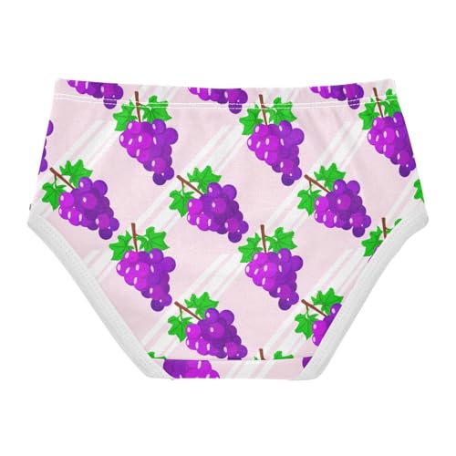 Joisal Toddler Girls Underwear 2t Cotton Panties for Girl Aesthetic Briefs Kids Undies Cartoon Purple Grapes Pink2