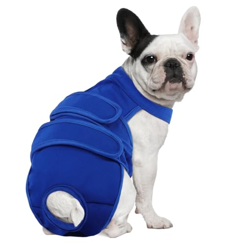 Image of Dog Diapers Female Reusable Washable Period Diaper with Suspender,Adjustable Dog Panties Anti-Harassment, Doggie Diapers for Incontinence, Heat Cycles, or Senior Dogs(XS-XL