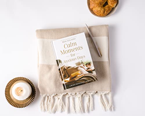 Image of Calm Moments for Anxious Days: A 90-Day Devotional Journey (90 Daily Devotions, with Journal Prompts, to Promote Wellness and Peace and Decrease Worry and Stress)