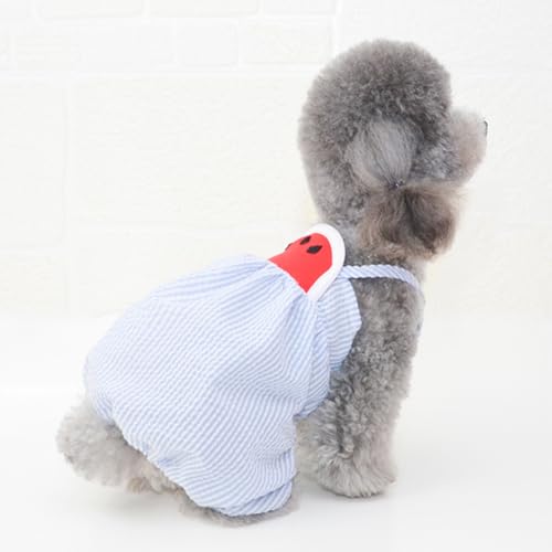 Disfraz para perro pantalón tirantes sandía azul talla S miniatura 5