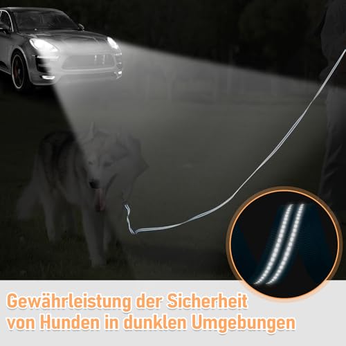 X XBEN Robuste & Leichte Schleppleine für Hunde, 3M 5M 10M 15M 20M 25M 30M 50M Schleppleine mit Handschlaufe, Lange Hundeleine mit Metallhaken, Reflektierend Laufleine für Kleine Mittlere Große Hunde