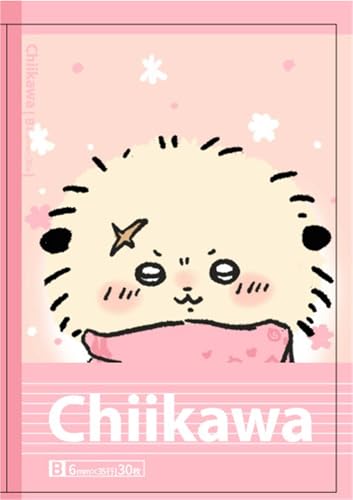 y5pbNz m[g B5/Br/30 LN^[ 킢 炳珑 wK [(bRx5)