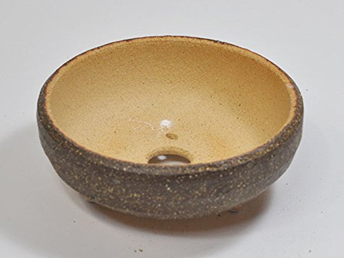 Amazon.co.jp: 盆栽妙 信楽焼 盆栽鉢 6号 鉄鉢 幅19cm×奥行き19cm×高さ