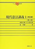 現代憲法講義 (1) (NJ叢書)