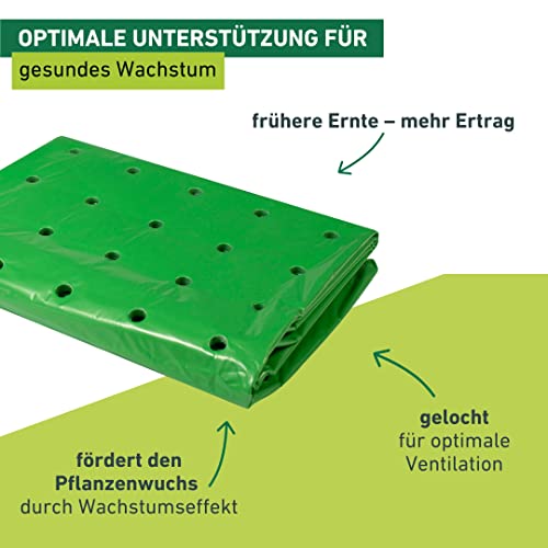 Windhager Frühbeet-Folie Strong, Pflanzfolie für Ganzjahresschutz, Frühbeetfolie, Folie für Pflanzen, grün, 37 µm, 10 x 1,5 m
