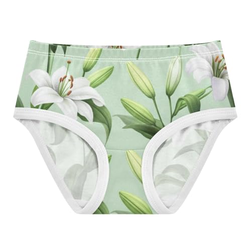 Painted White Lilies Sage Green Toddler Underwear Custom 2t Cotton Girl Panties Cute Print Briefs Undies Kids - Main Image