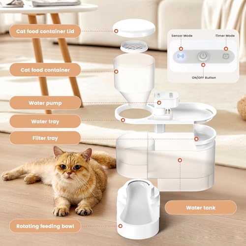 Alimentador automático para gatos