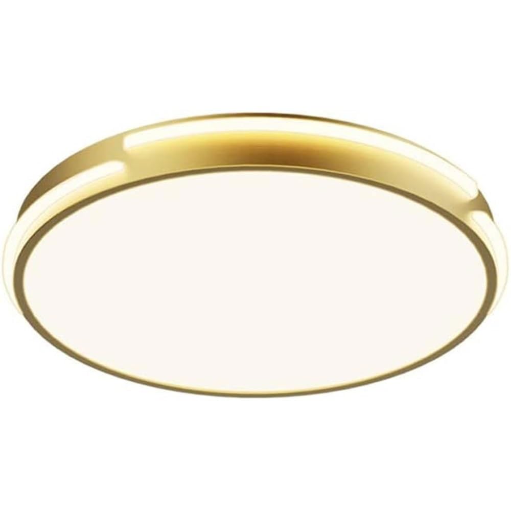 Plafonnier à trois températures de couleur LED avec diffuseur moderne de 50cm - 8