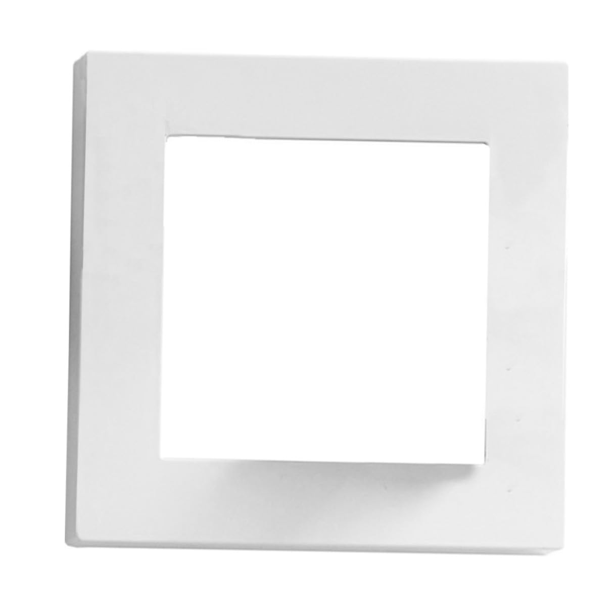 Cadre fleurs séchées décoration plastique blanc composition florale maison DIY